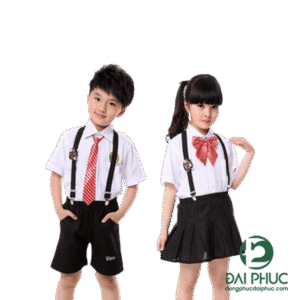 Đồng phục sơ mi học sinh DPHS013